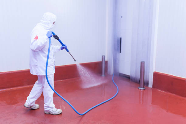 Best Sign and Awning Cleaning  in Haslett, MI