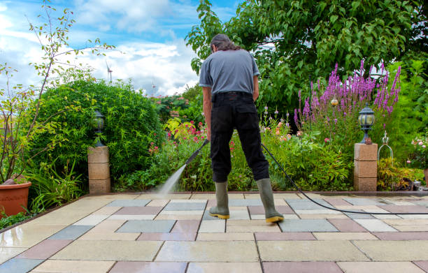 Best Winterizing Services  in Haslett, MI
