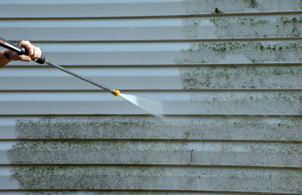 Best Driveway Pressure Washing  in Haslett, MI