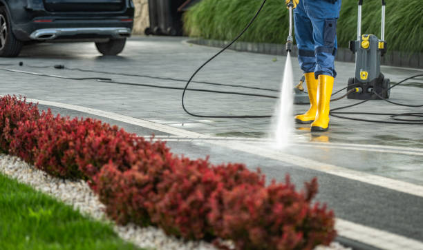 Best Soft Washing  in Haslett, MI